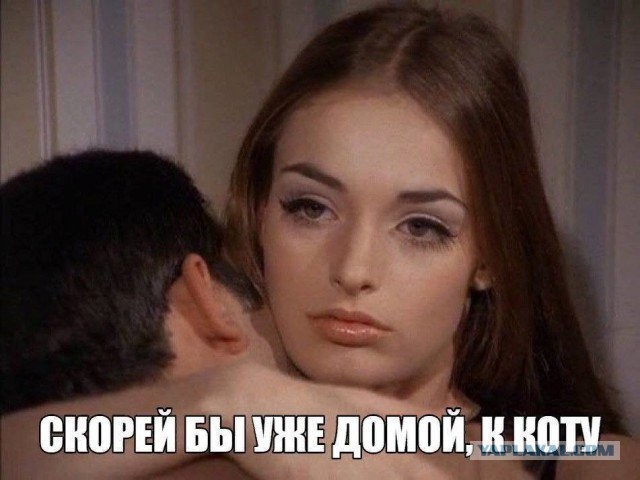Среды картинки