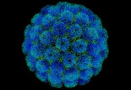 Вакцины ,зараженные вирусом SV40