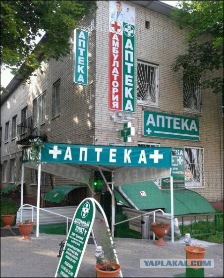 Просто забавные фотки из мобильника