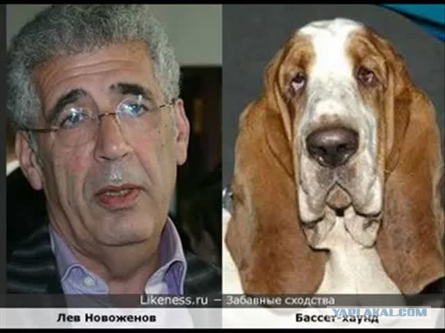 Они нашли себя