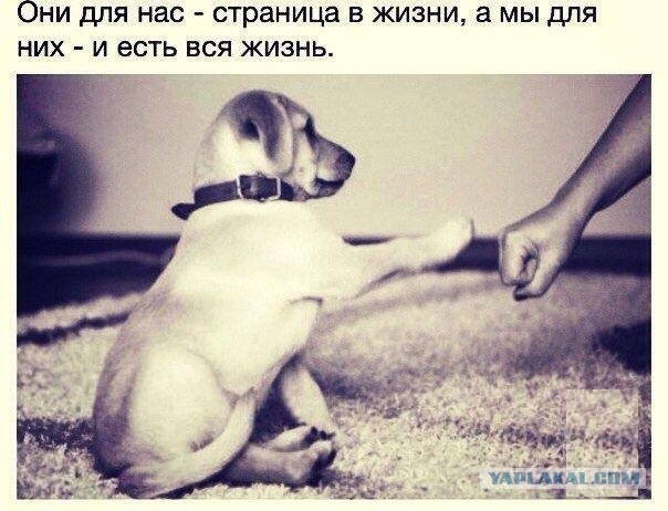 Подборка картинок