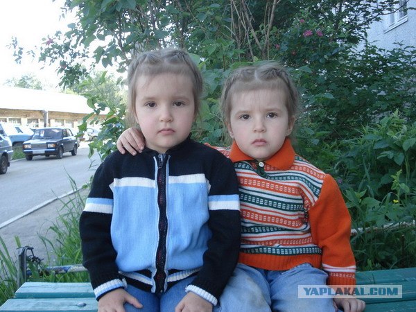 2024 г близнецы. Близнецы мальчики. Астрономический год. Близнецы разного возраста. Созвездие близнецы звезда кастор.