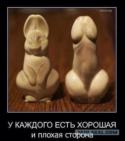 Весёлое из сети