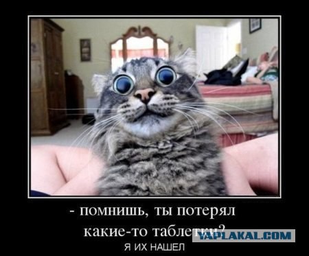 ЯП 1 000 000