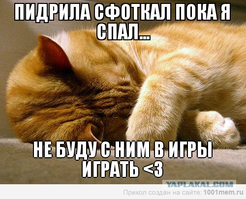 Cфотал пока спала