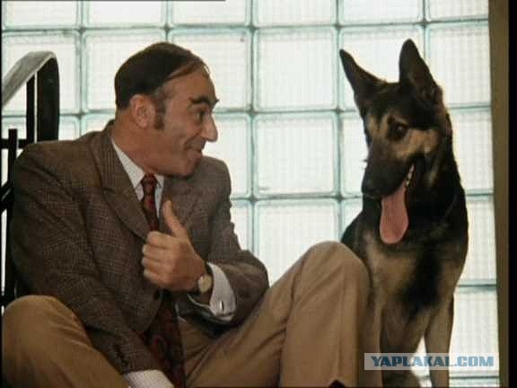 Вся суть женской дружбы