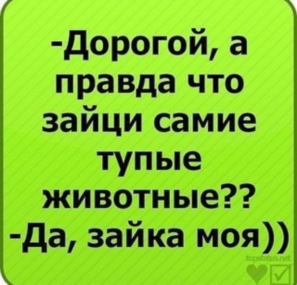 Открытки, картинки прикольные статусы для вк для