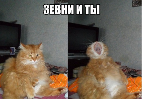 Веселые картинки