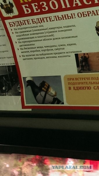 Картинки из сети