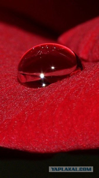 Подборка картинок 29.03.16