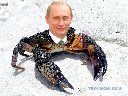 Провокация на Путина ожидается сегодня в 9 вечера