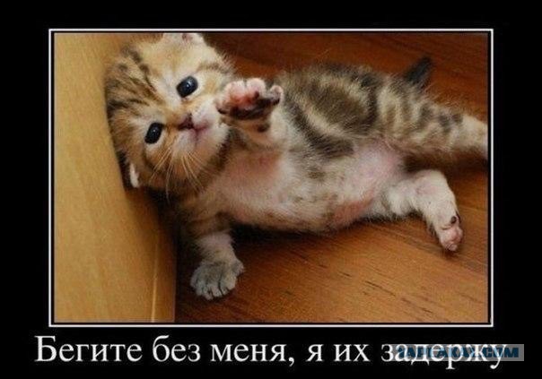 Биатлон сезон 2015/2016. Чемпионат России.