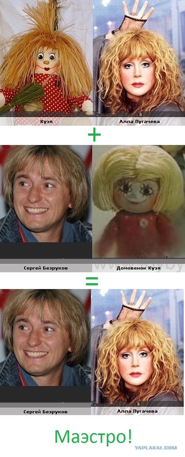 Шоу двойников