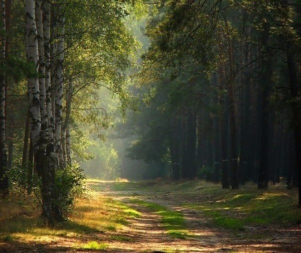 Картинки для отдыха глаз