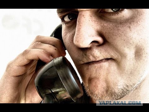 Нелепые законы в разных штатах США. В картинках