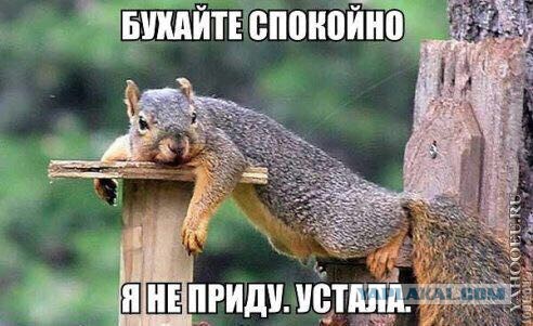 Трезвый расчёт: за пять лет число страдающих алкоголизмом в России снизилось на 22%