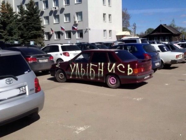 Автовсячина