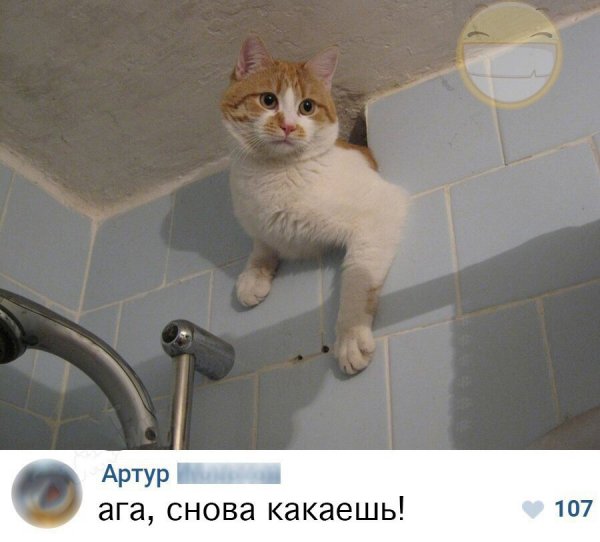 Подборка интересных и веселых картинок