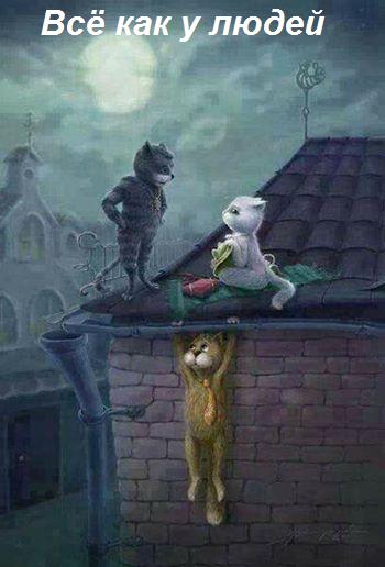 Субботняя вакханалия с большой дозой идиотизма