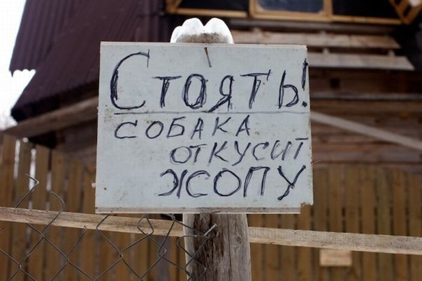 Прикольные надписи и объявления