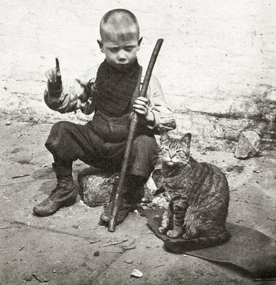 Прикольных котов пост