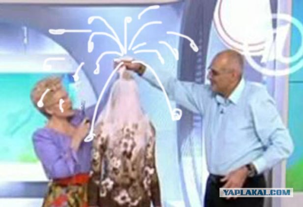 Поклонская запускает свой бренд «Няш-мяш»