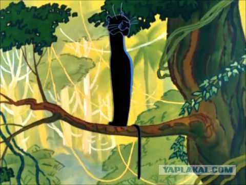 Страшнее кошки зверя нет