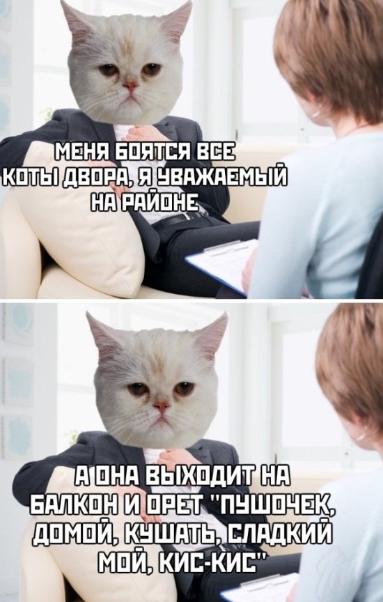 Немного картинок в этот понедельник - 22.07.19