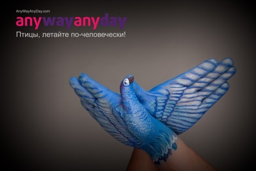 Концепция для AnyWayAnyDay