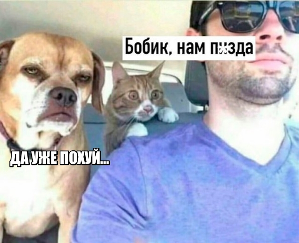 Картинки с надписями, истории и анекдоты 30.11.19