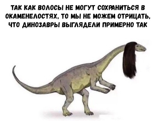 Бредзона 24.12.2019