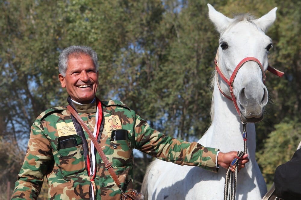 Путин на коне картина