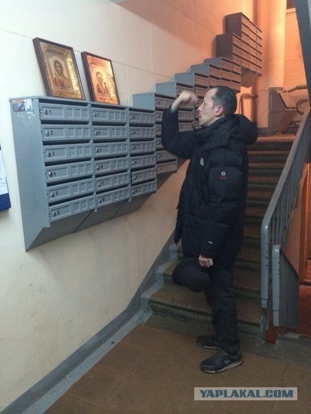 Калейдоскоп картинок