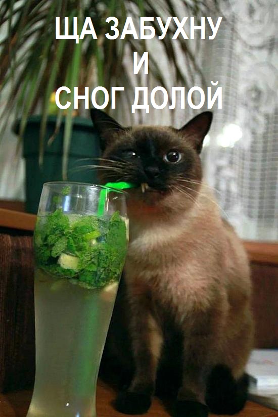 Бредзона 02.05.20