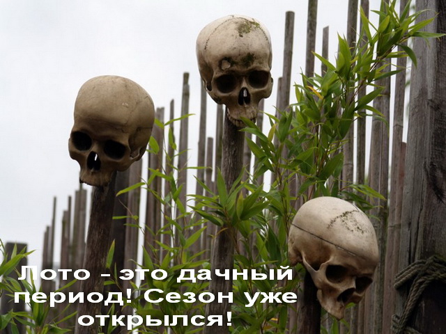 Фотожаба: Скоро лето 2008 !