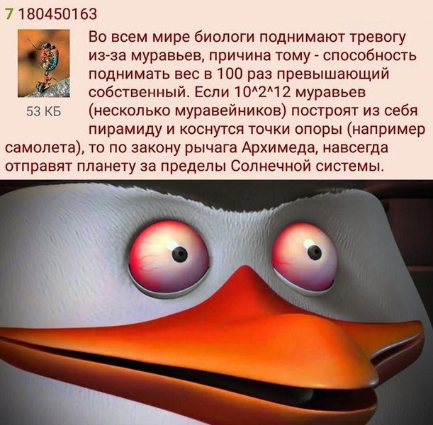 Федя, дичь!