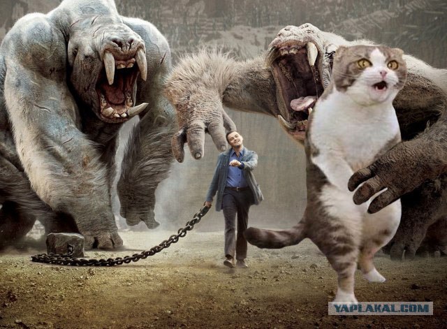John Carter