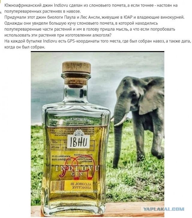 Так себе картинки 08.03.21