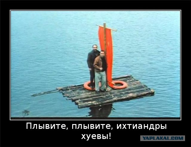 Быдло на пляже