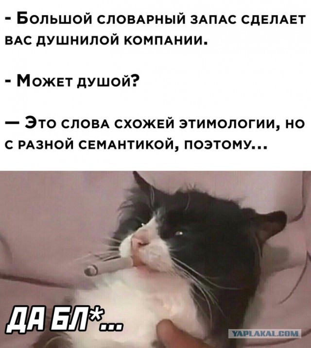 Весёлый полтишок 13.09