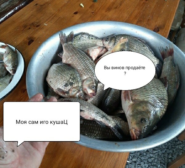История одного бокала
