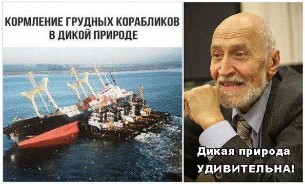Картинки для настроения