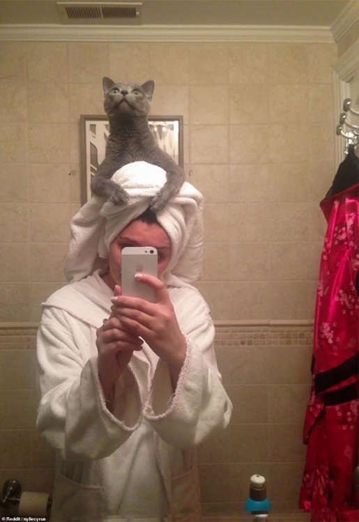 Коты, которые чихать хотели на ваше личное пространство