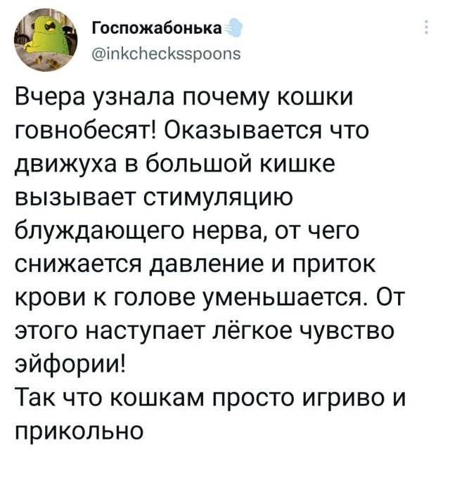 Так себе картинки 30.01.22