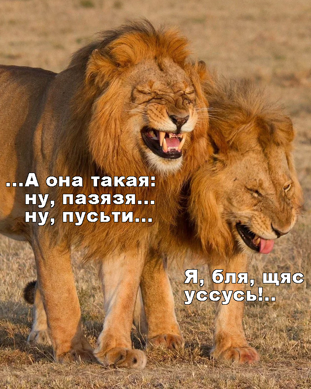 Отпустите корабли! (пожалуйста)