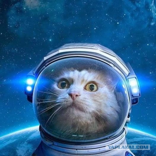С Днём Космонавтики!