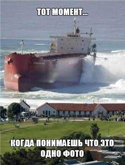 Весёлый полтишок 24.05.22