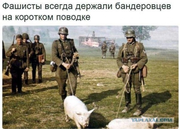 Новый сайт в поддержку Украины.