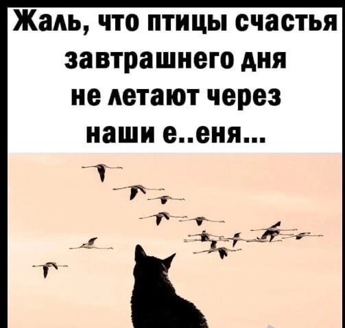 Картинки. Сборник без темы