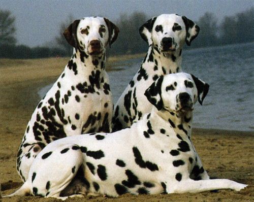 Что мне делать?Новосибирск-помогите.